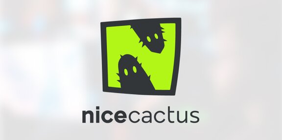 nicecactus.jpg